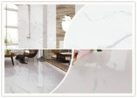 Плитка фарфора взгляда Frost устойчивая мраморная для спальни/кухни