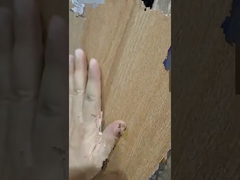 Представление керамической плитки под дерево 200x1200 мм