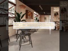 Сопротивление скольжению R9 - R11 Рейтинг Современная керамогранитная плитка Легко чистить и обслуживать Современный простой стиль Прочное и стильное напольное покрытие