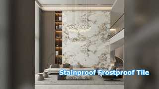 Modern Porcelain Tile Stainproof Frostproof Flooring