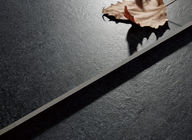 Плитка фарфора черноты размера керамических плиток пола строительного материала/600x600 Mm	Крытые плитки фарфора