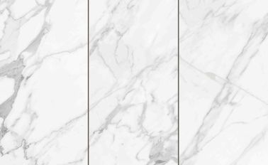 Крытые 600 x 300 плиток фарфора, благоустраивают белый мрамор цвета кроют плиты черепицей