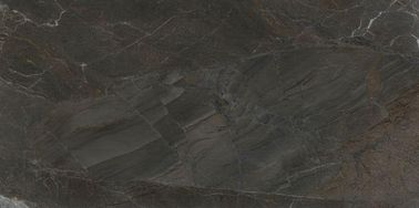 фарфора взгляда 60*120cm скорость поглощения мраморного кафельная более менее чем 0,05%