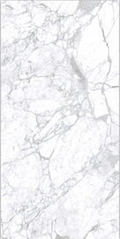 фарфор взгляда мрамора плиты 160x320cm большой кроет отполированную застекленную плитку черепицей стены и пола для конференц-зала и Holte