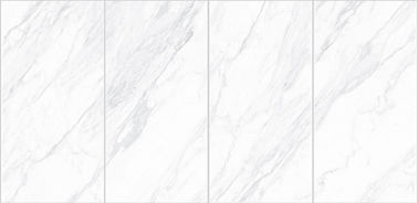 Белая и черная плитка пола фарфора комнаты прожития 750x1500