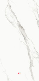 Анти- плитка фарфора большого формата 900x1800mm выскальзывания