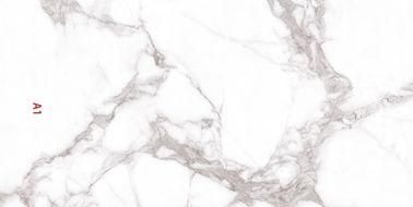 Современным сделанные по образцу стилем плитки фарфора кухни 900x1800 крытые