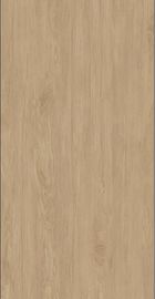 Плитка пола кухни Matt 1200*2400 большой плиты крытая керамическая