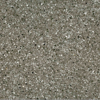 Декоративное естественного настила плитки Terrazzo камня жилое