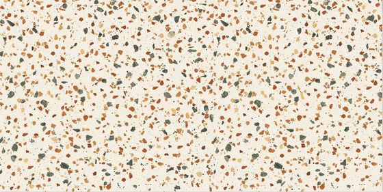 плитки пола Terrazzo 60x120cm керамические для мостовой сада
